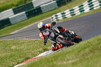 cadwell-no-limits-trackday;cadwell-park;cadwell-park-photographs;cadwell-trackday-photographs;enduro-digital-images;event-digital-images;eventdigitalimages;no-limits-trackdays;peter-wileman-photography;racing-digital-images;trackday-digital-images;trackday-photos